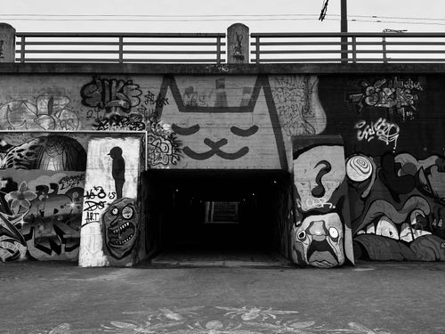 Free Urban tunnel adorned with diverse graffiti art in black and white tones. Stock Photo