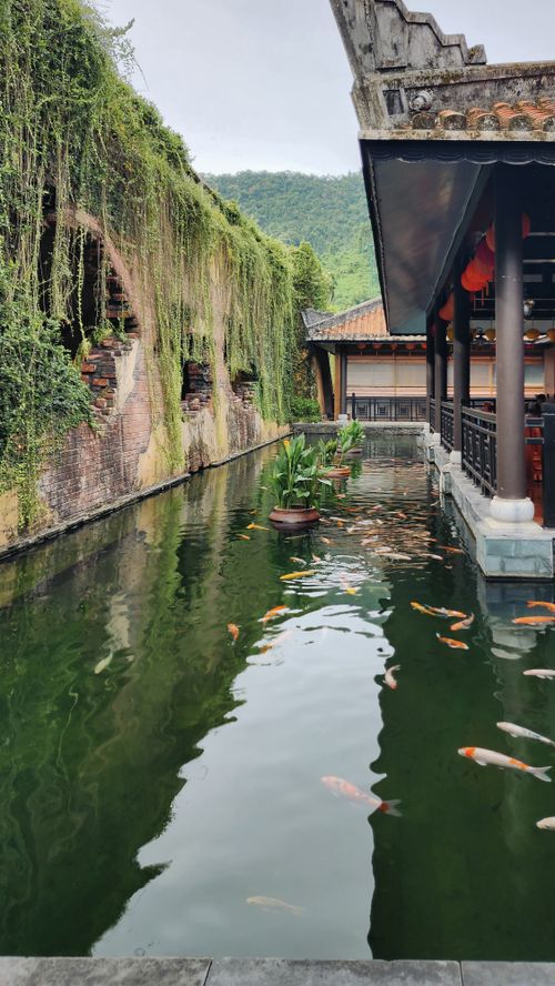 Free Serene pond with koi fish, traditional architecture, and lush greenery. Stock Photo