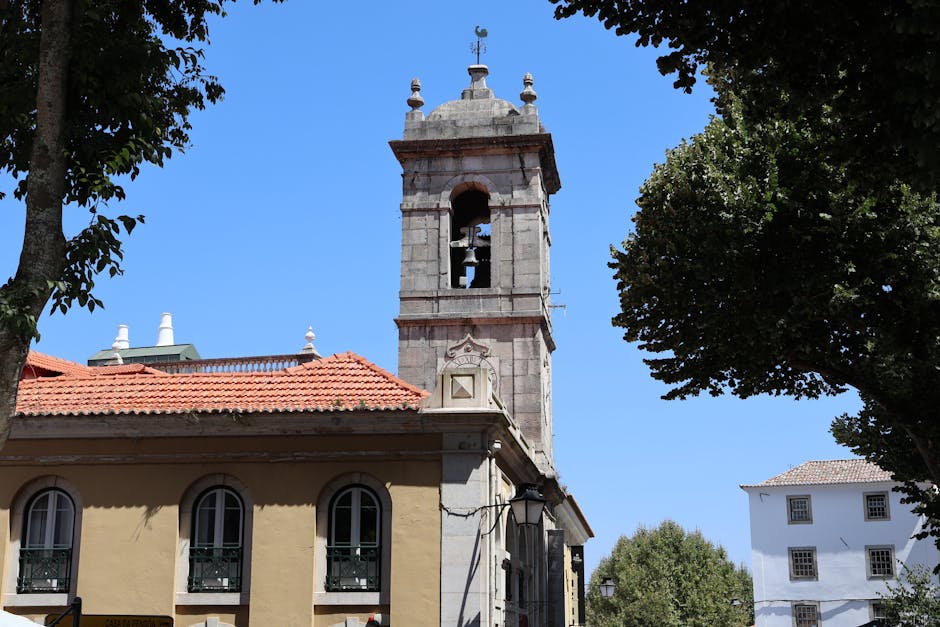 A historic church bell tower on a bright day, framed by trees and sky, showcasing European architecture.