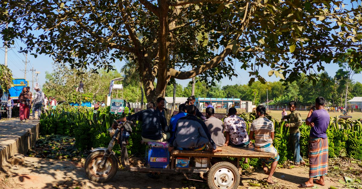 A rural marketplace scene under a large tree in Madhupur, Bangladesh, with people and parked vehicle.