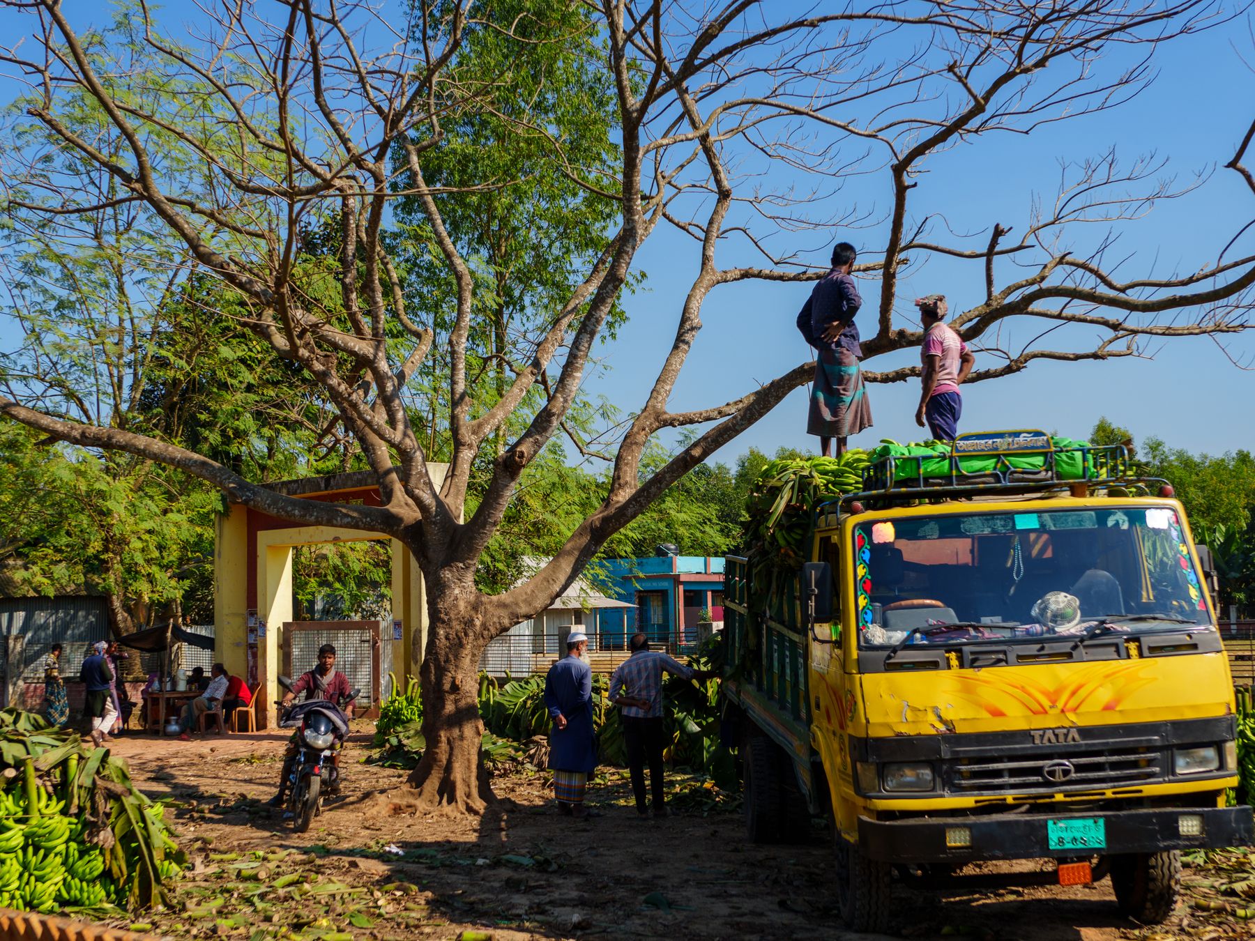 Banham — man and van team loading a removal van