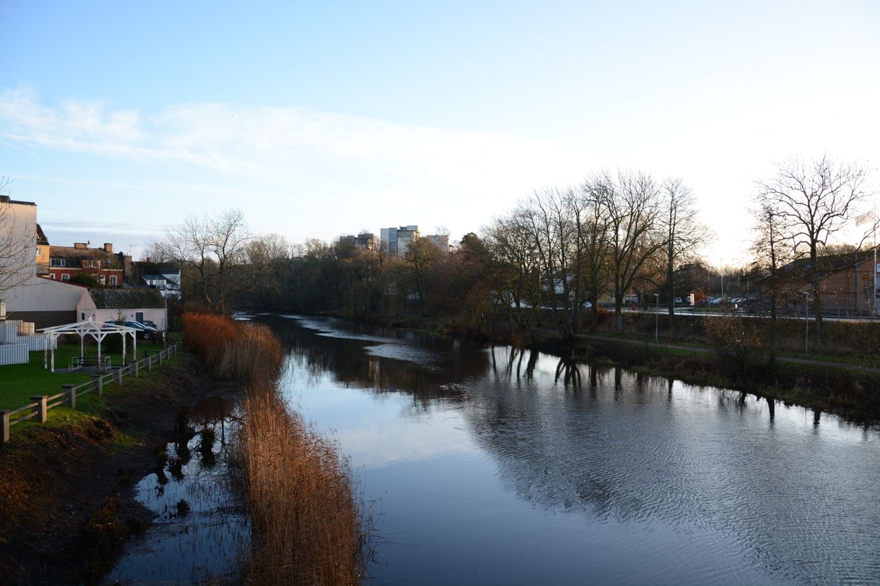 tranquil riverside scene showcasing bare winter trees and reflective w