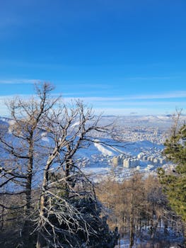 A winter cityscape framed by snowy trees under a vibrant blue sky.