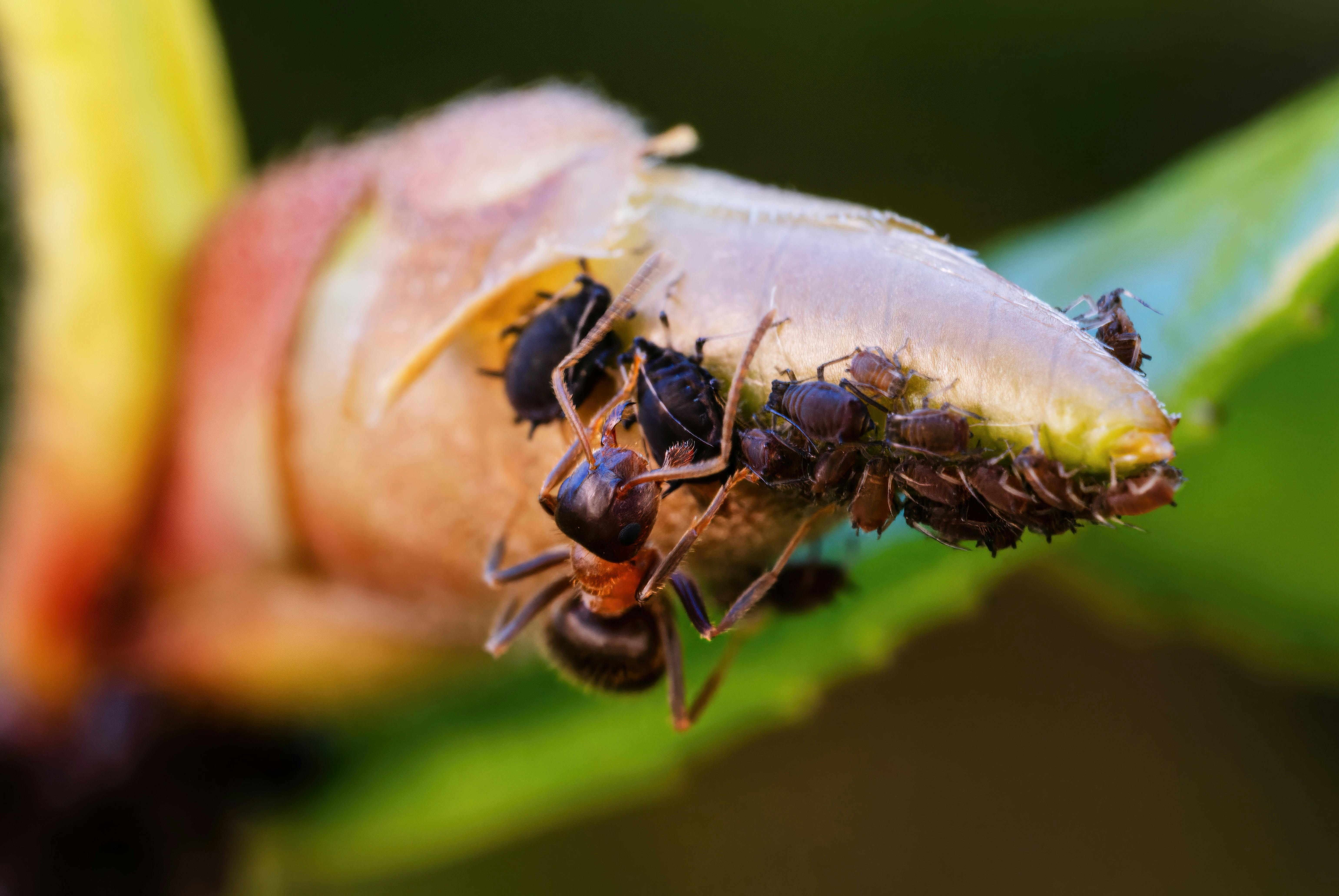 Sustainable Living Hacks You Need to Embrace Today