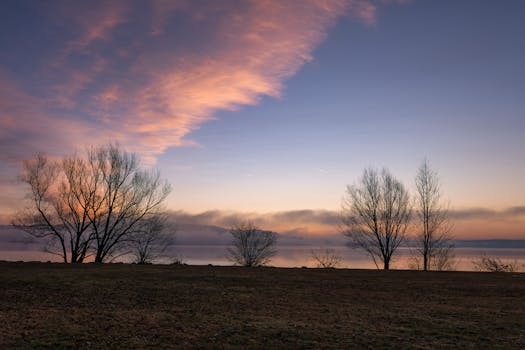 A peaceful winter sunrise over a calm lake with silhouetted trees and gentle pastel skies.