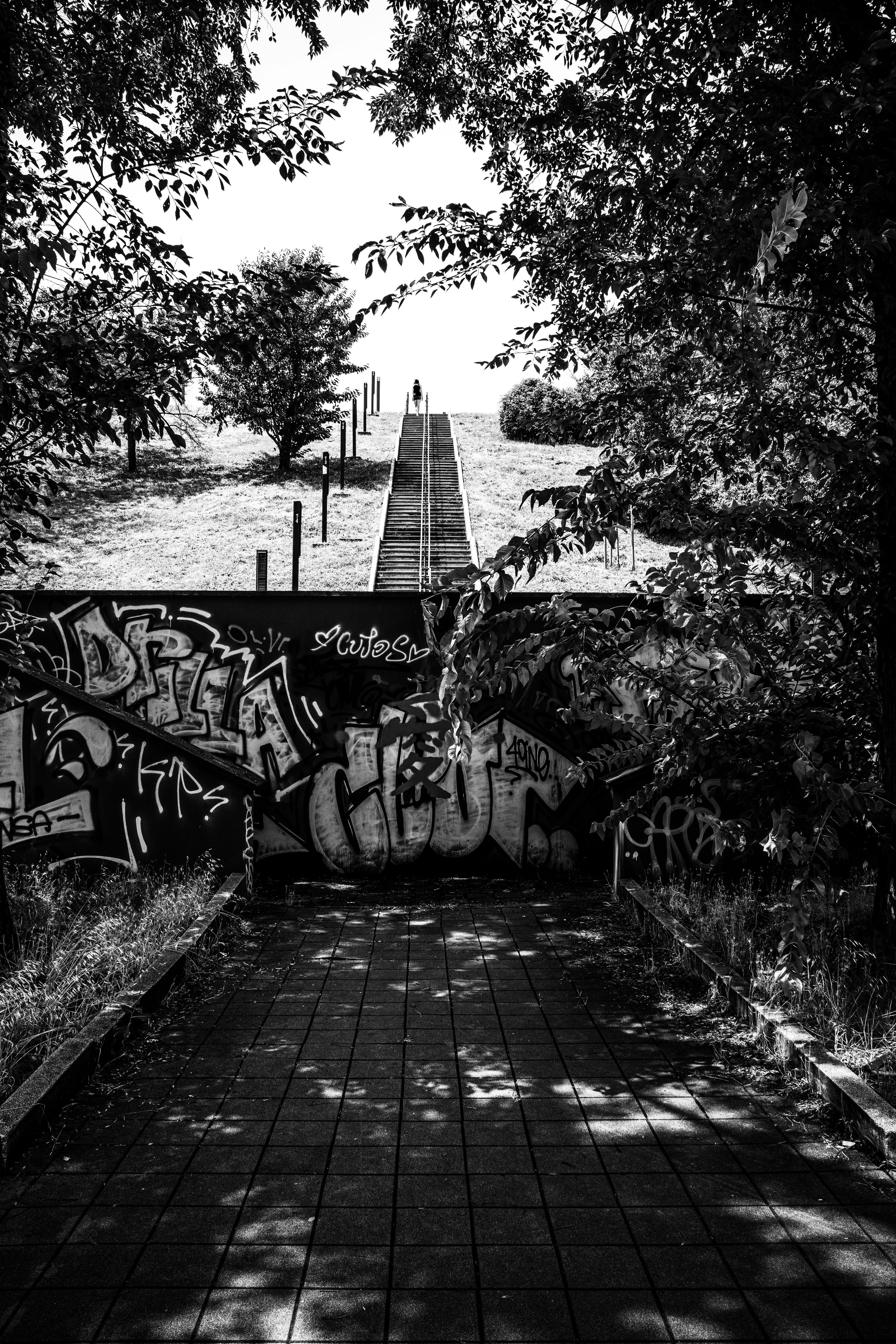 Monochrome shot of a graffiti-covered urban staircase leading to a park.