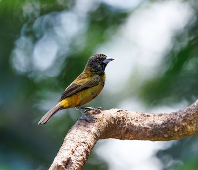 Photo by Veronika Andrews