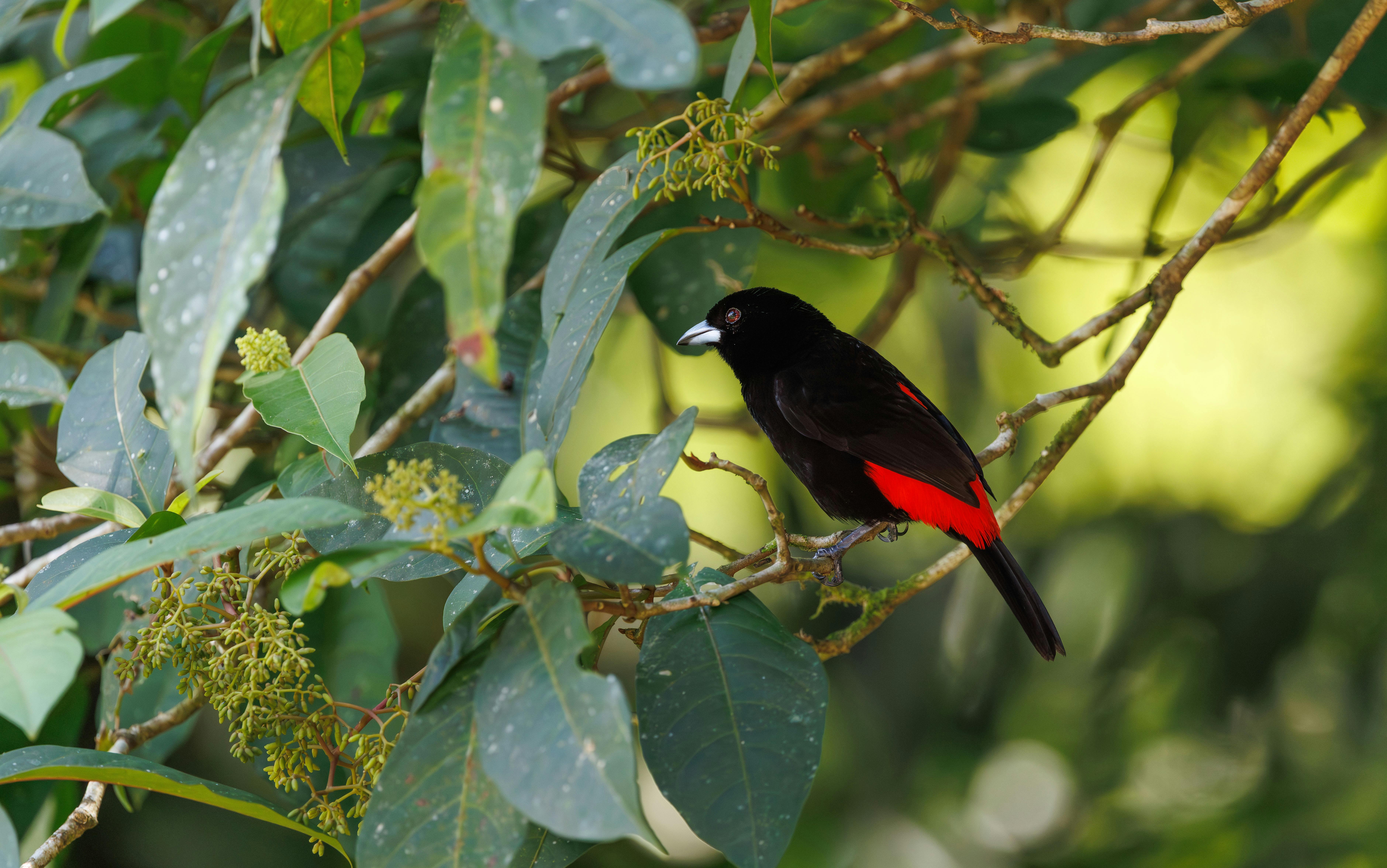 Top Early Warning Medium Phrases for Effective Risk Management