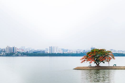 Photo by Vikram Aditya