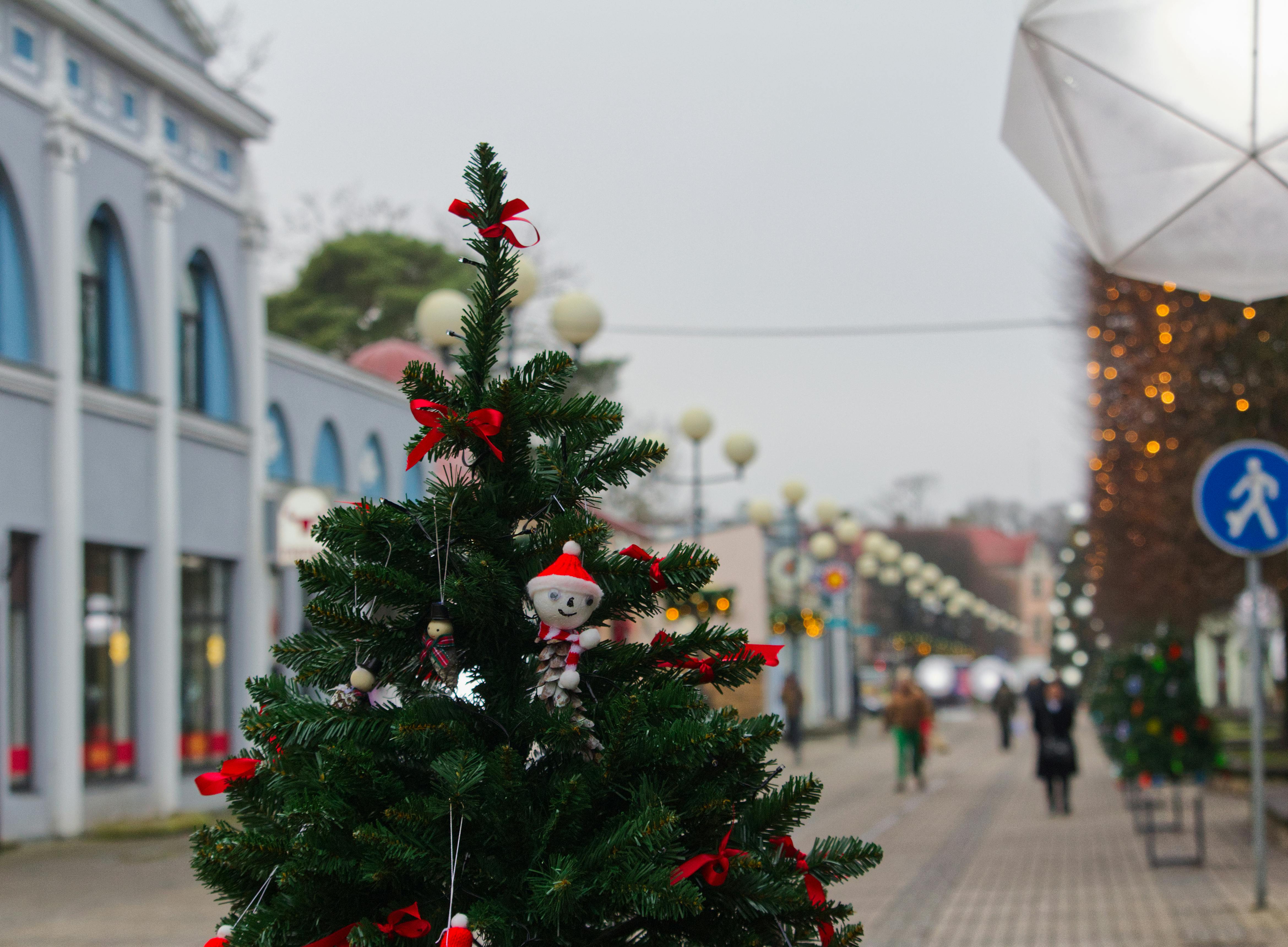 Top 10 Bases de datos – noviembre 2025