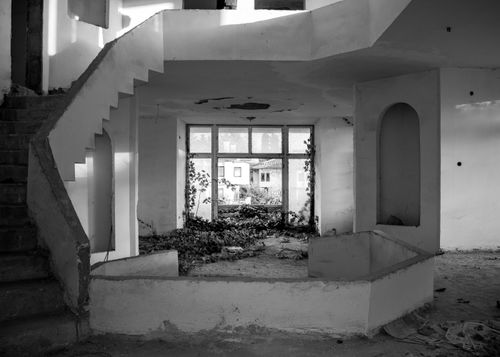 Free Deserted interior of a building with plants growing inside, black and white photo. Stock Photo