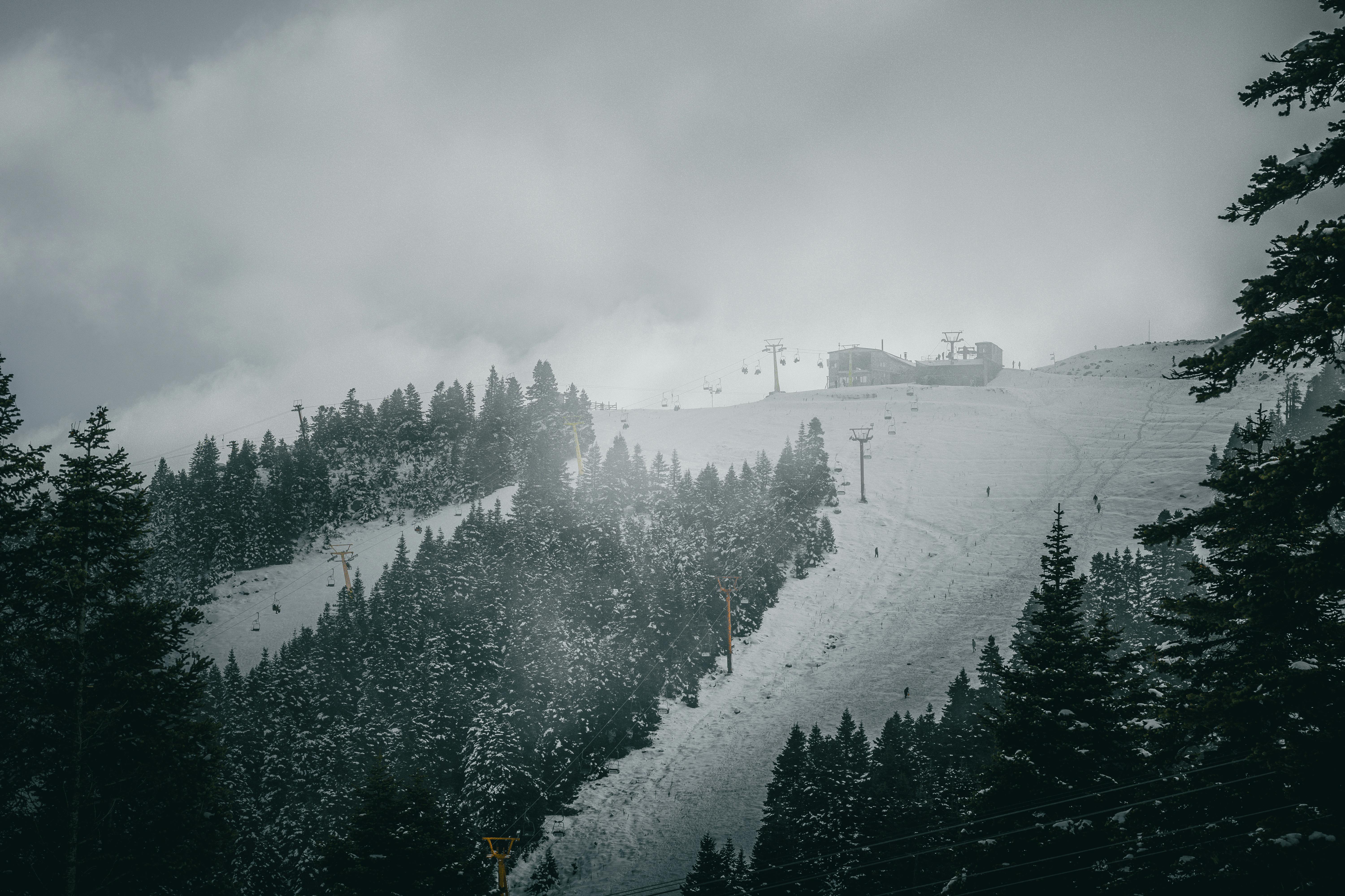 Effective Strategies for Remote Team Management