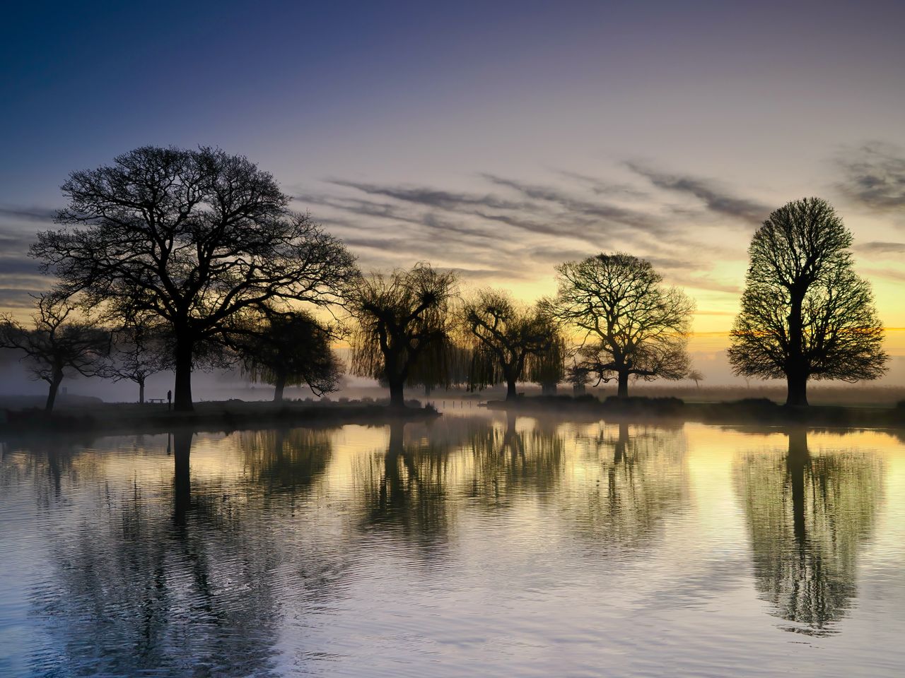 a tranquil scene of trees reflecting in a uk lake at sunrise enveloped