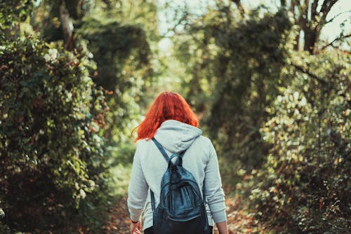 Free Person Walking in Between of Trees Stock Photo