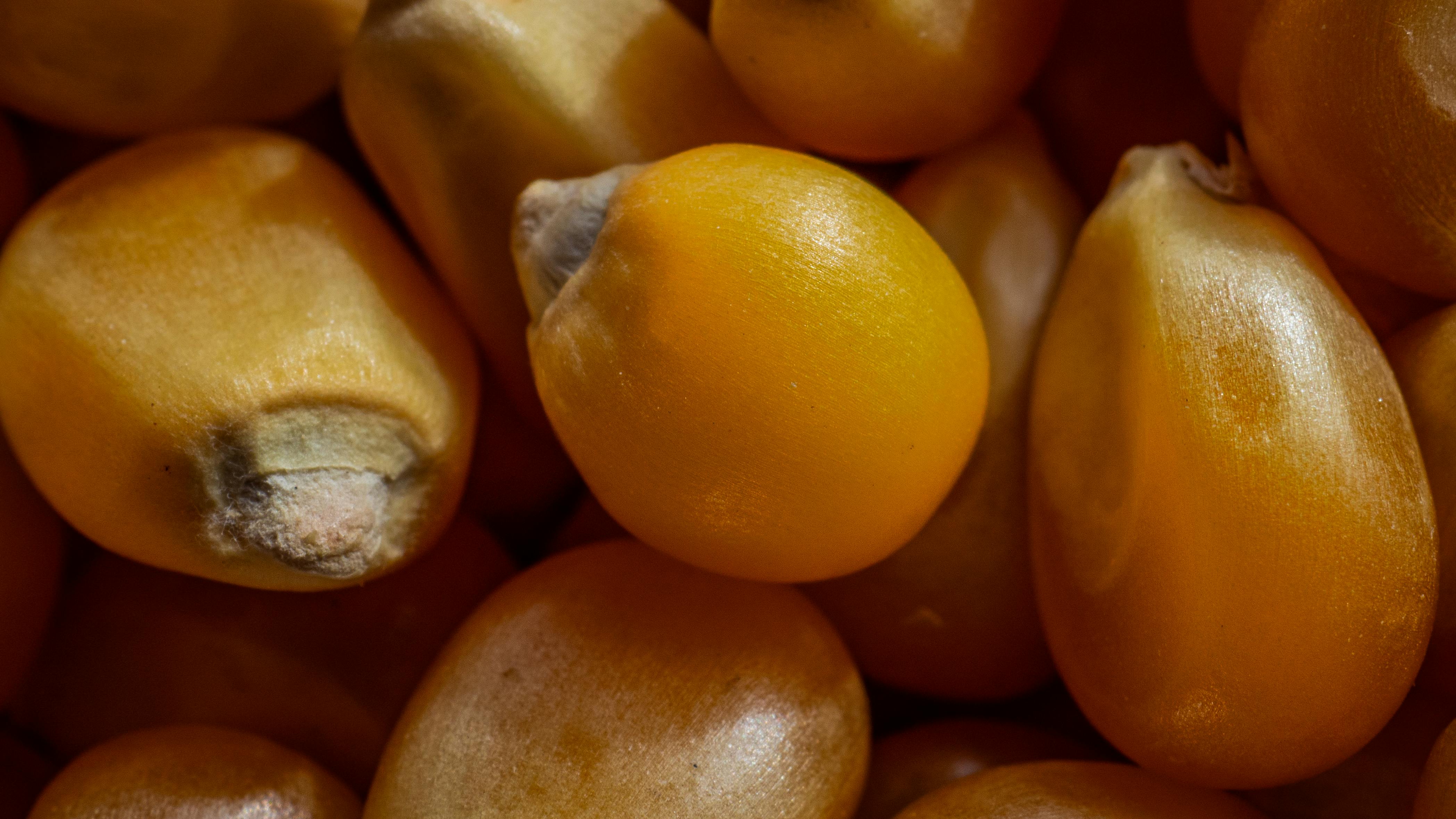 Dean Koontz - Demon Seed (V2.0)