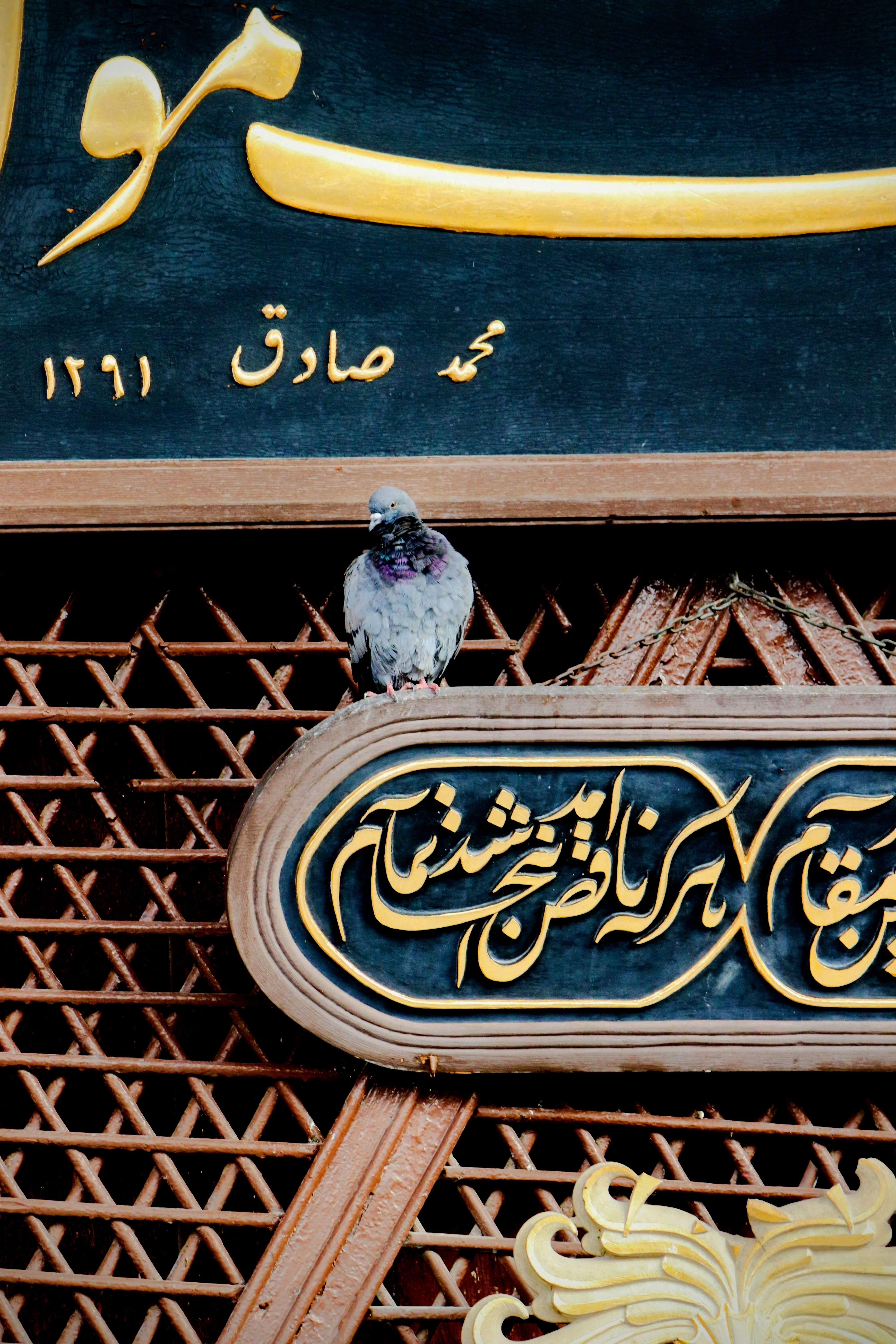 A pigeon perched on intricate Arabic script ironwork detail in an urban setting.