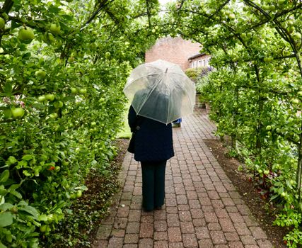 A person with an umbrella walking through a lush green archway in Knaresborough, England.