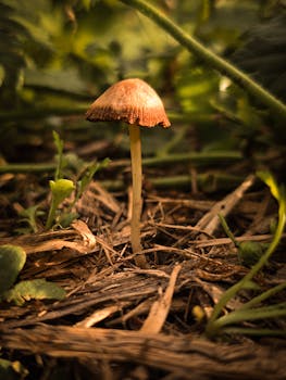 Image by Belu  I Lr Presets & LUTs on presetspix.etsy.com