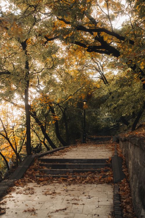 Free Serene park pathway under autumn foliage in Budapest captures the essence of fall. Stock Photo