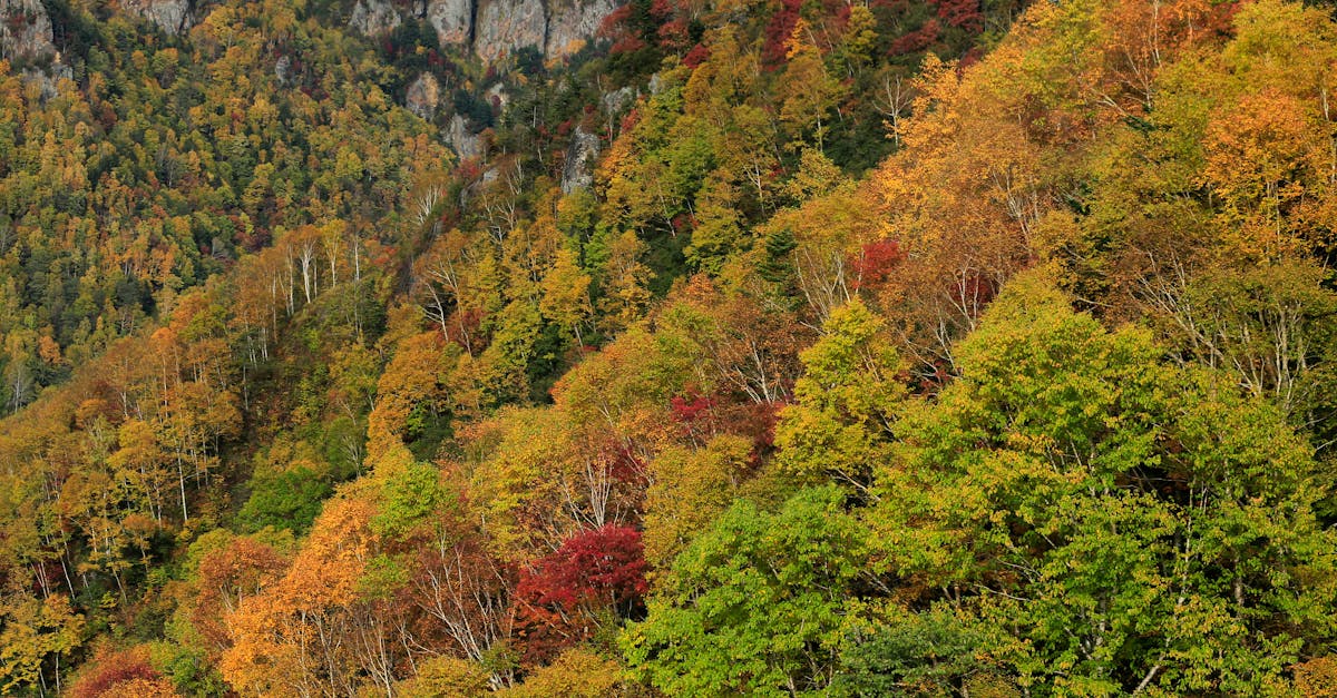 Photo by Jeffry Surianto Red Hill Lawsuit: Judge Awards Attorneys' Fees Amidst Appeal