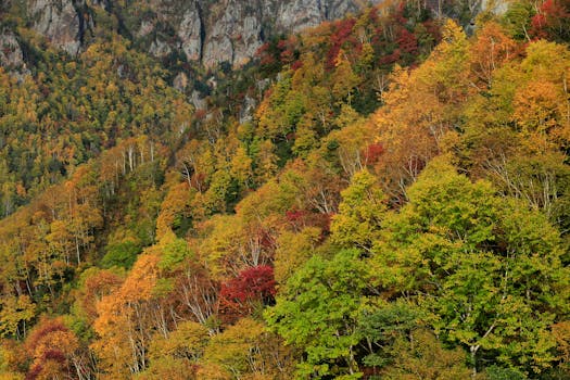 Photo by Jeffry Surianto Red Hill Lawsuit: Judge Awards Attorneys' Fees Amidst Appeal