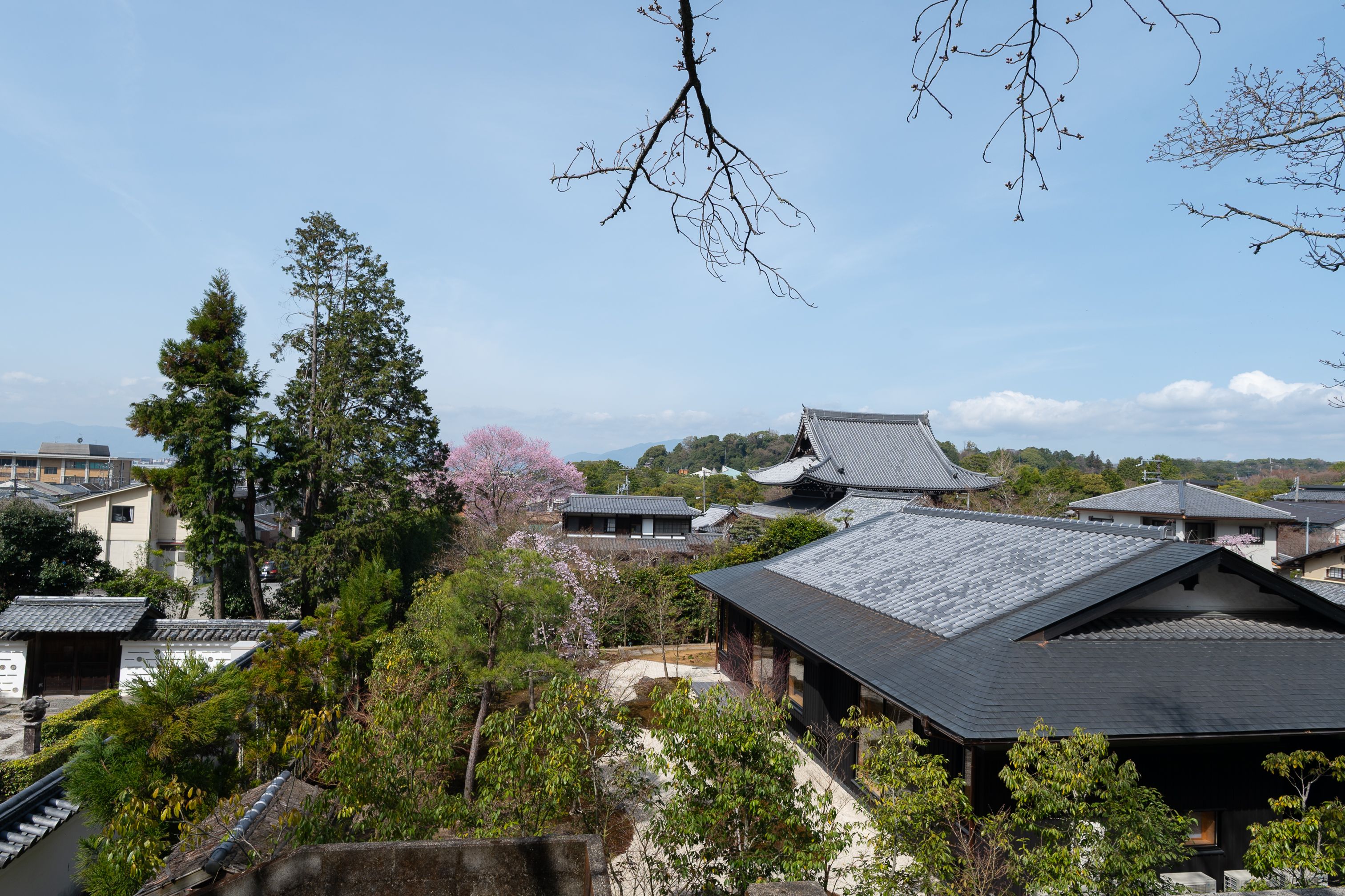 Scenic view of a historic temple surrounded by cherry blossoms in Kyoto, Japan.