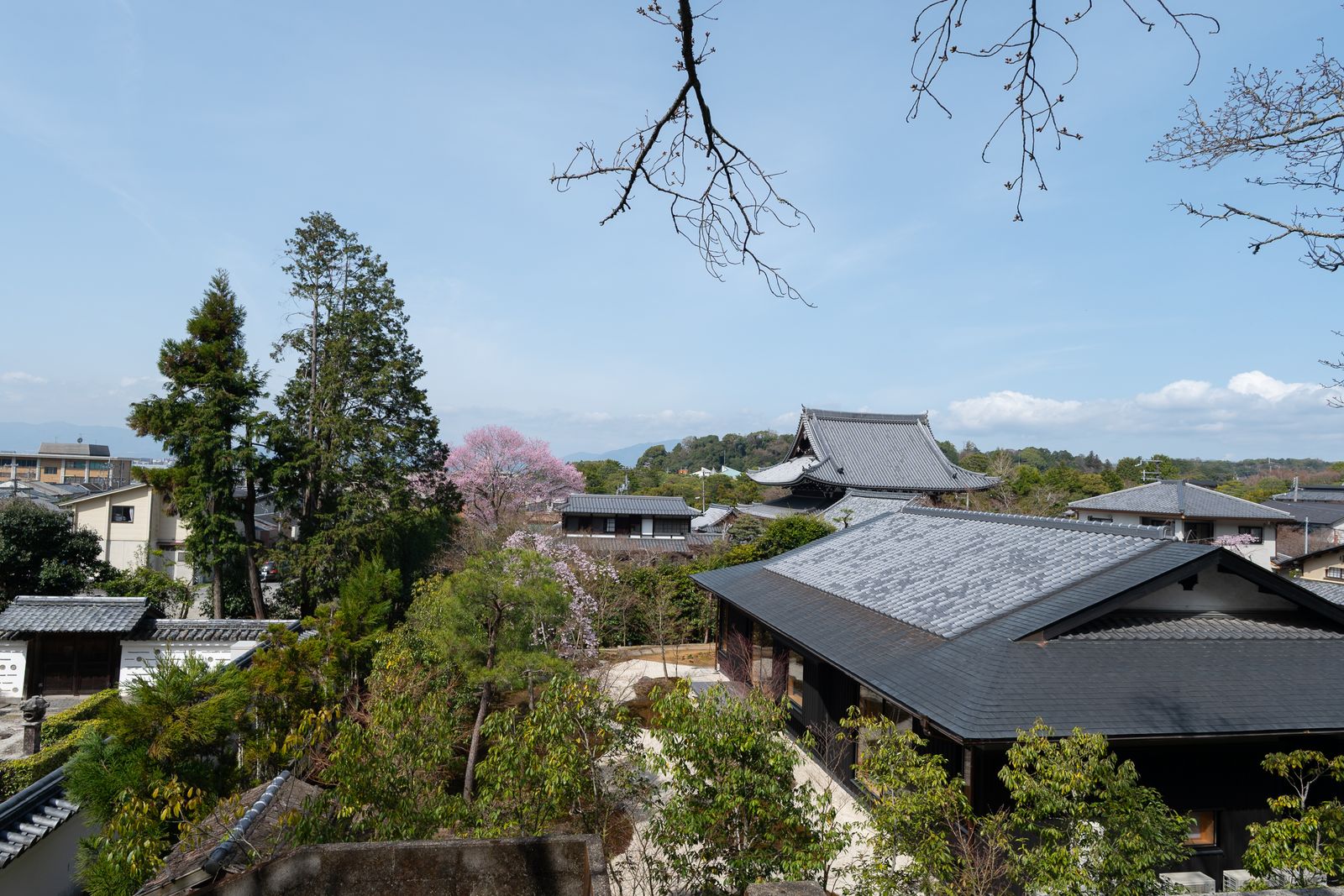 The Foreigner's Guide to Building a Hospitality Business in Japan