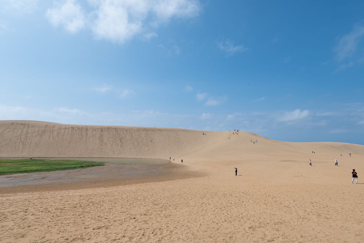 Visitors walking across the wide Tottori Sand Dunes under a blue sky