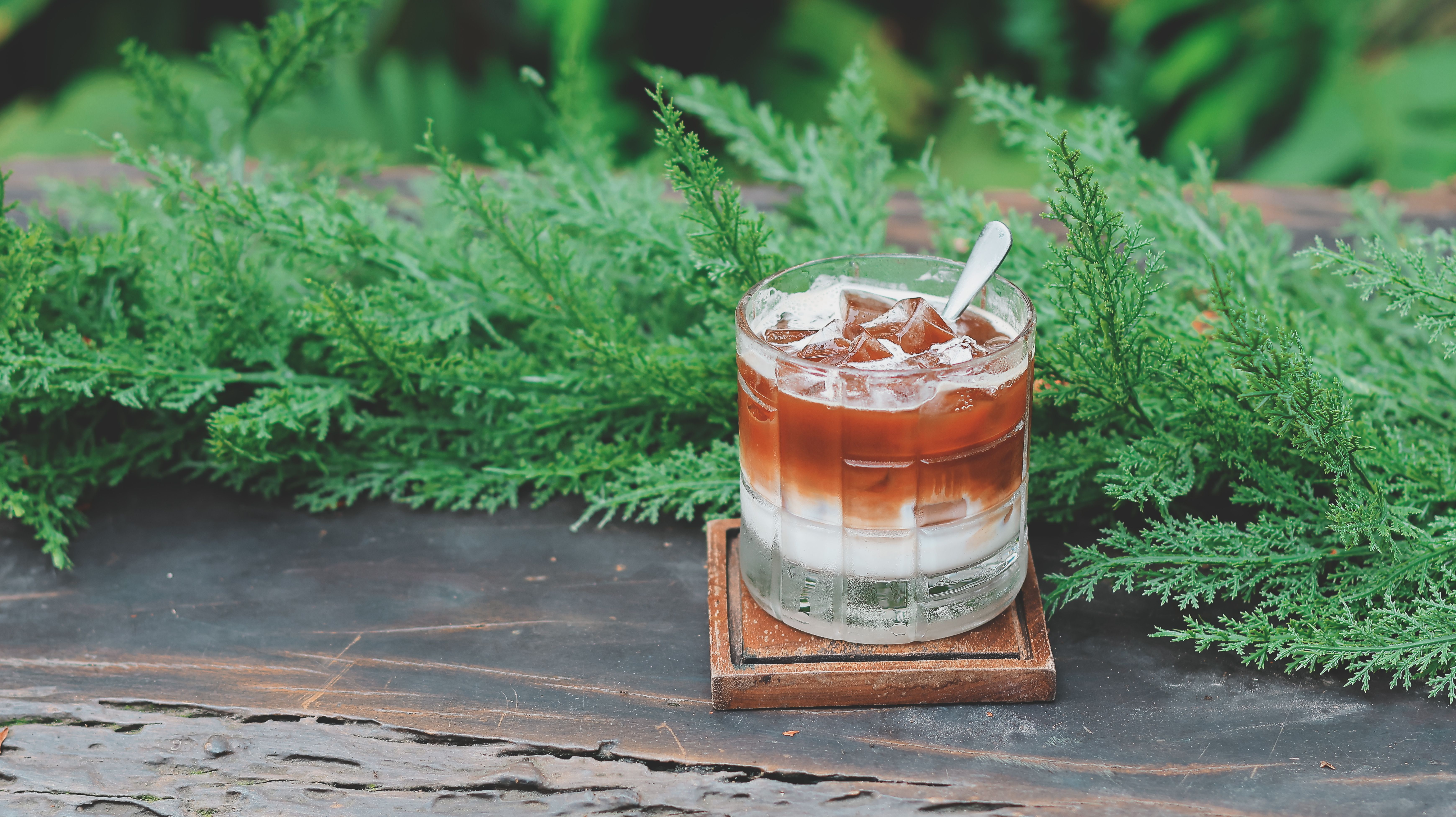 Glass of iced coffee with milk on a wooden table surrounded by green foliage.