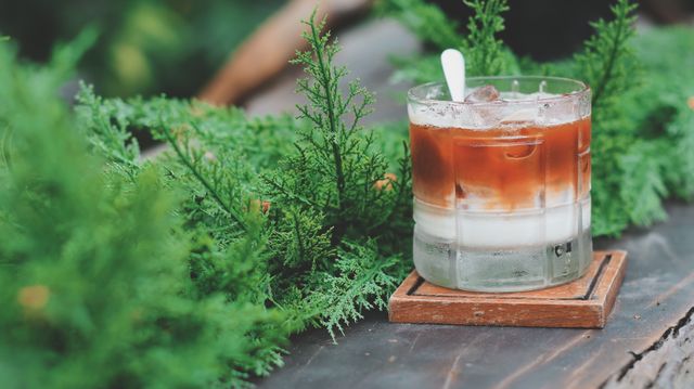 Sample photo: an iced latte on a table among green plants