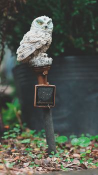 Charming owl statue with solar light, enhancing garden's natural feel.