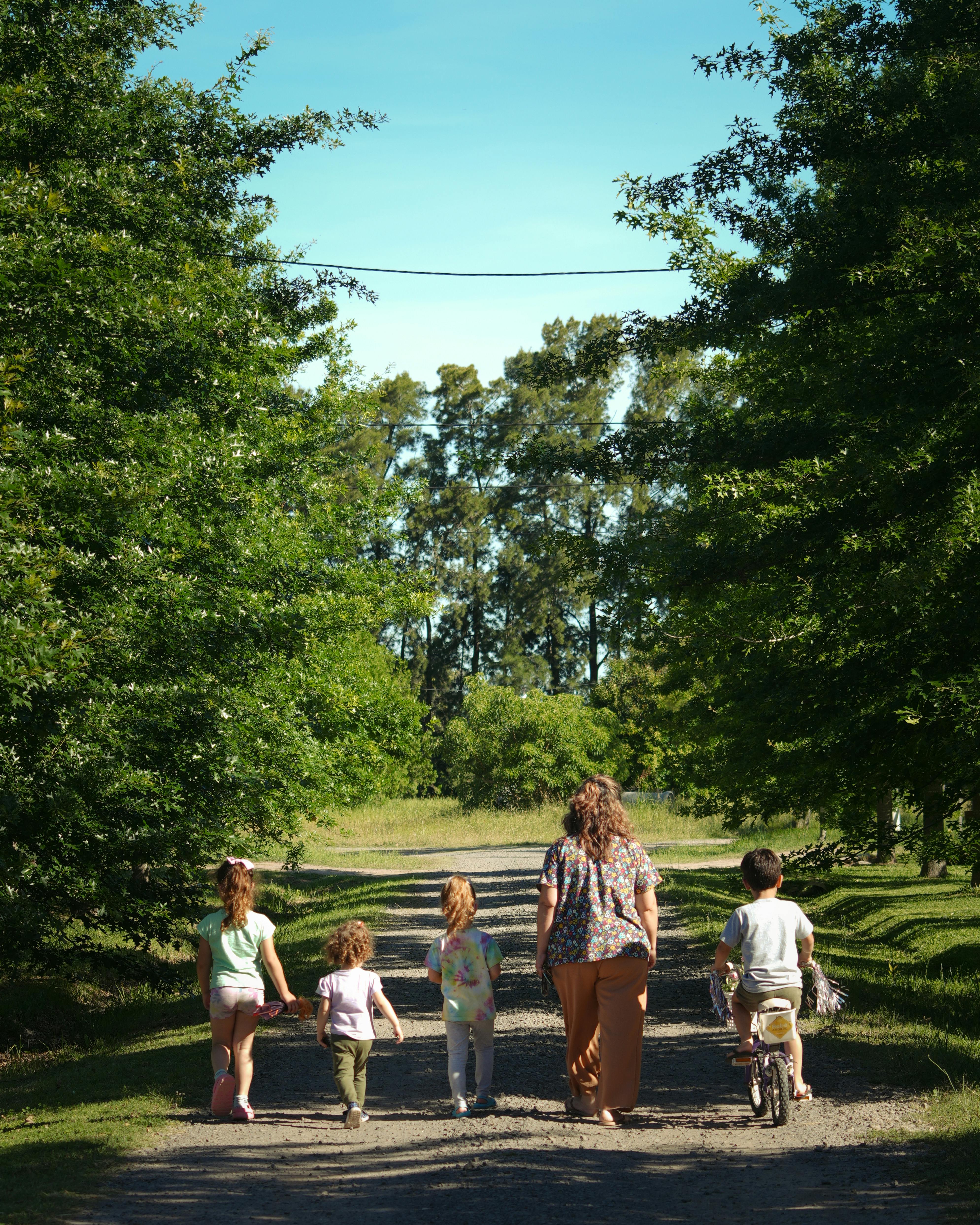 A family enjoys a day outdoors walking along a peaceful tree-lined path.