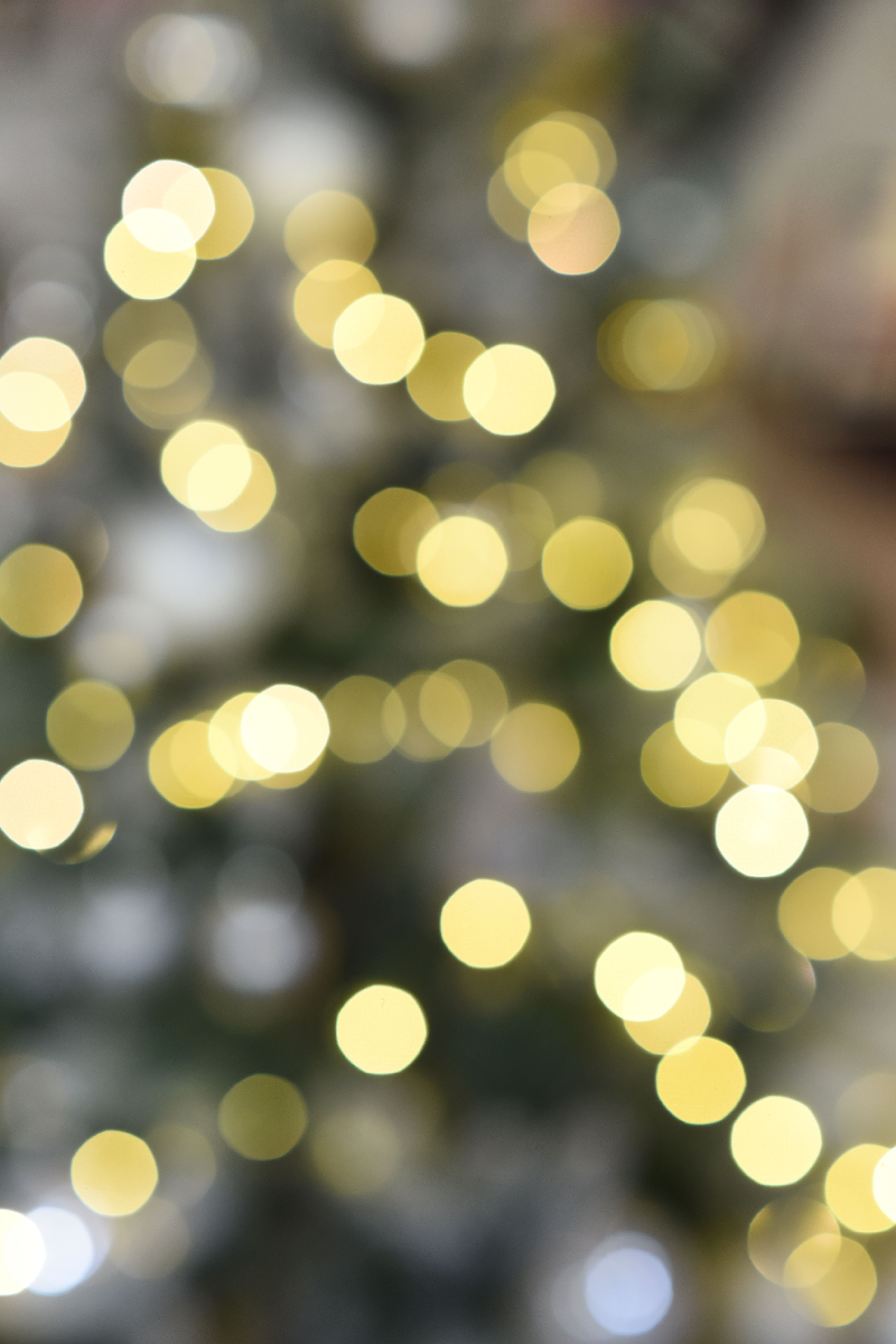 Golden Bokeh Christmas Lights Background · Free Stock Photo