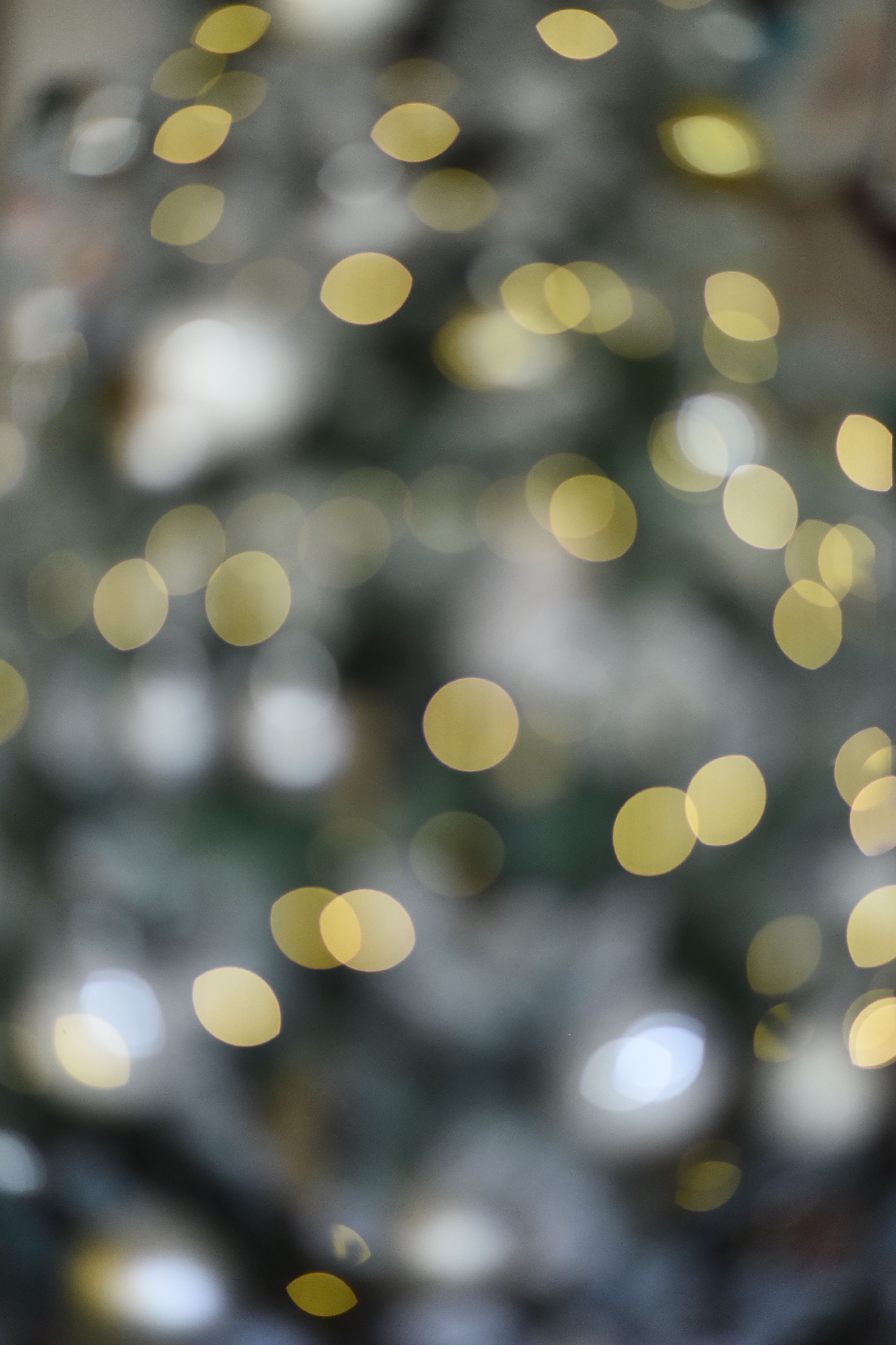 Abstract Golden Bokeh Lights Background · Free Stock Photo