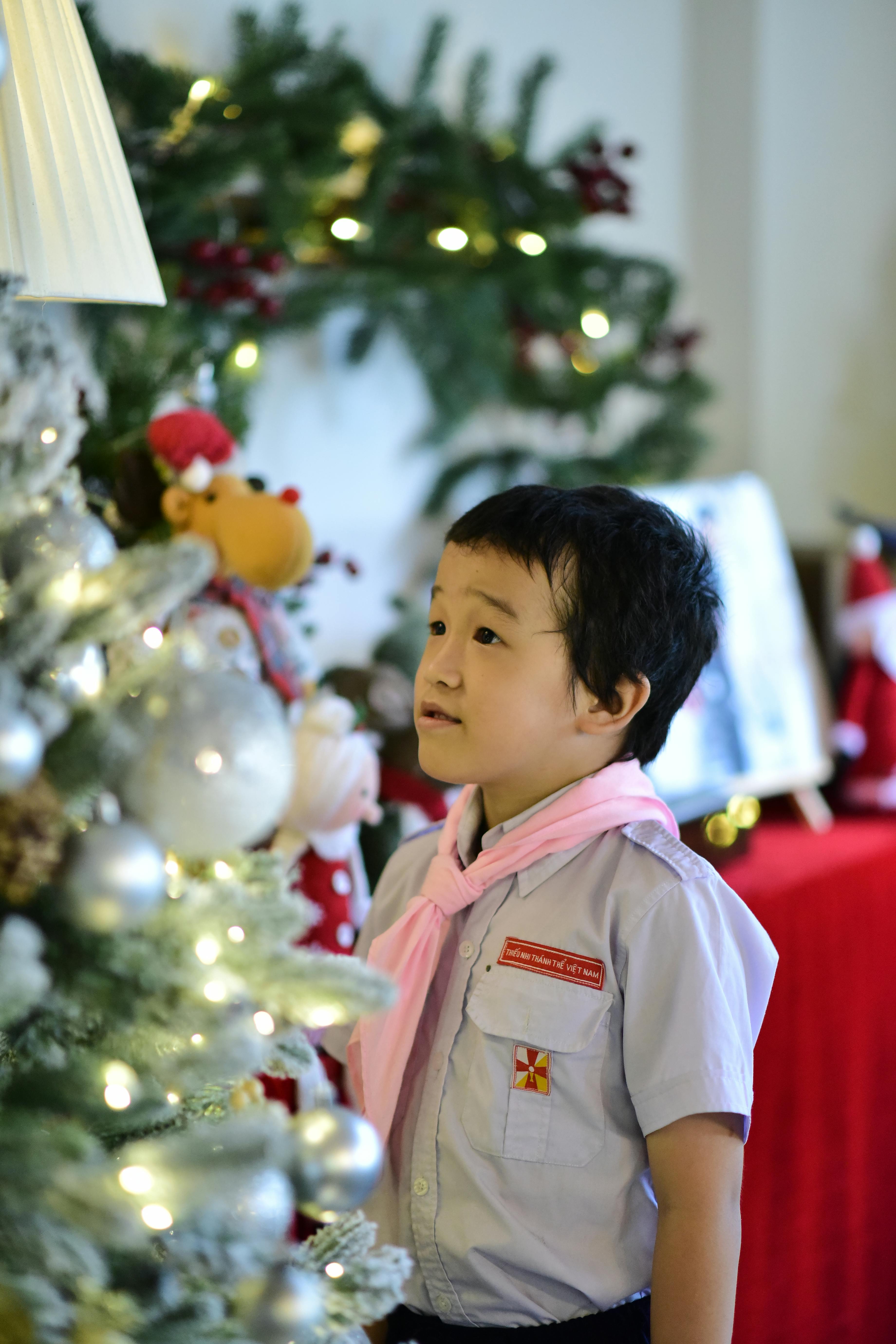 Young boy gazes at a beautifully decorated Christmas tree indoors, embodying festive wonder.