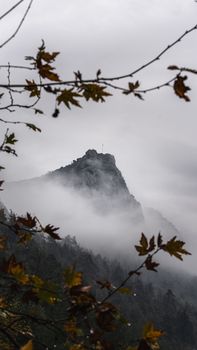 Captivating misty mountain peak surrounded by autumn foliage, creating a serene natural scene.