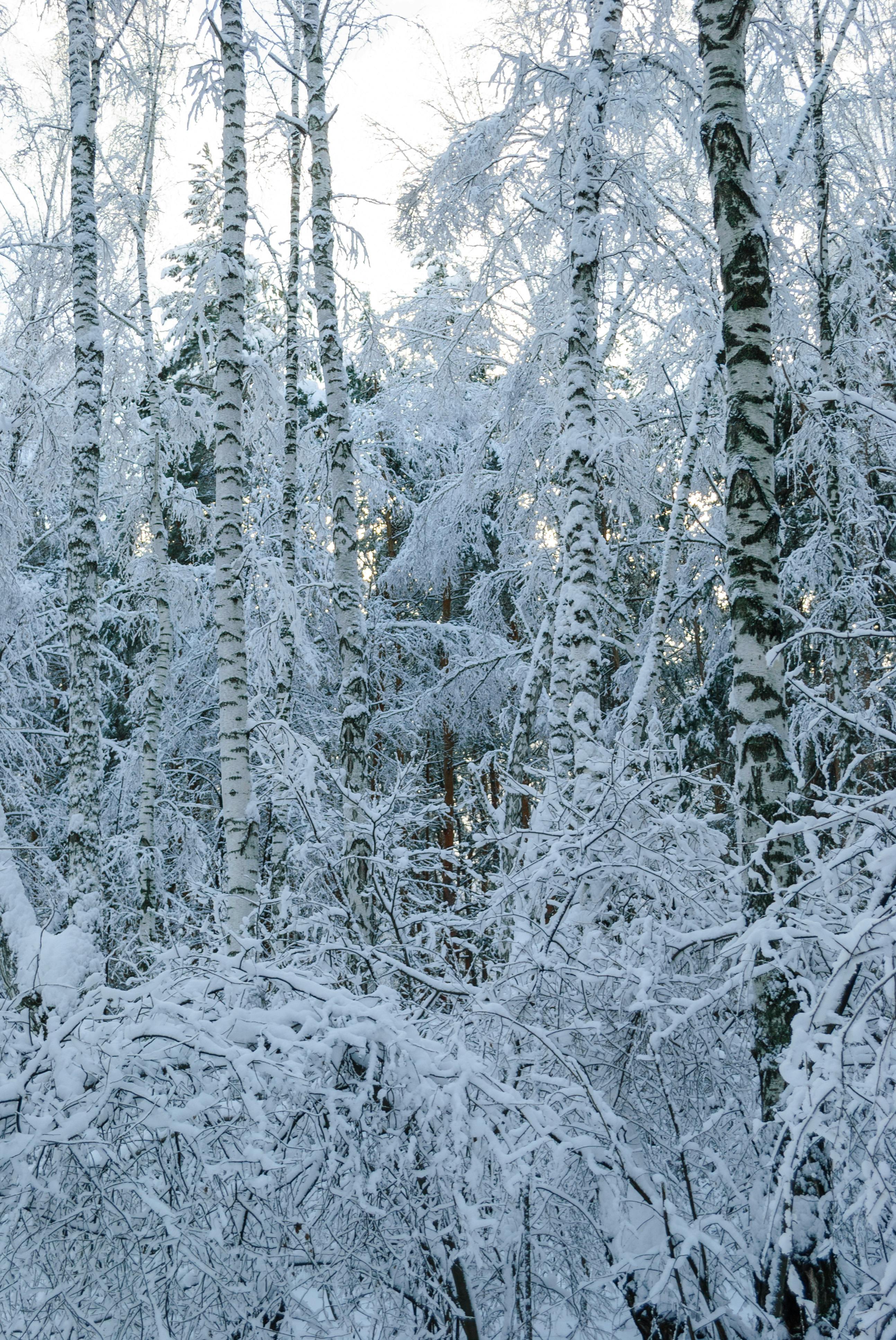 10 Day Ecourse Simplify Your Life