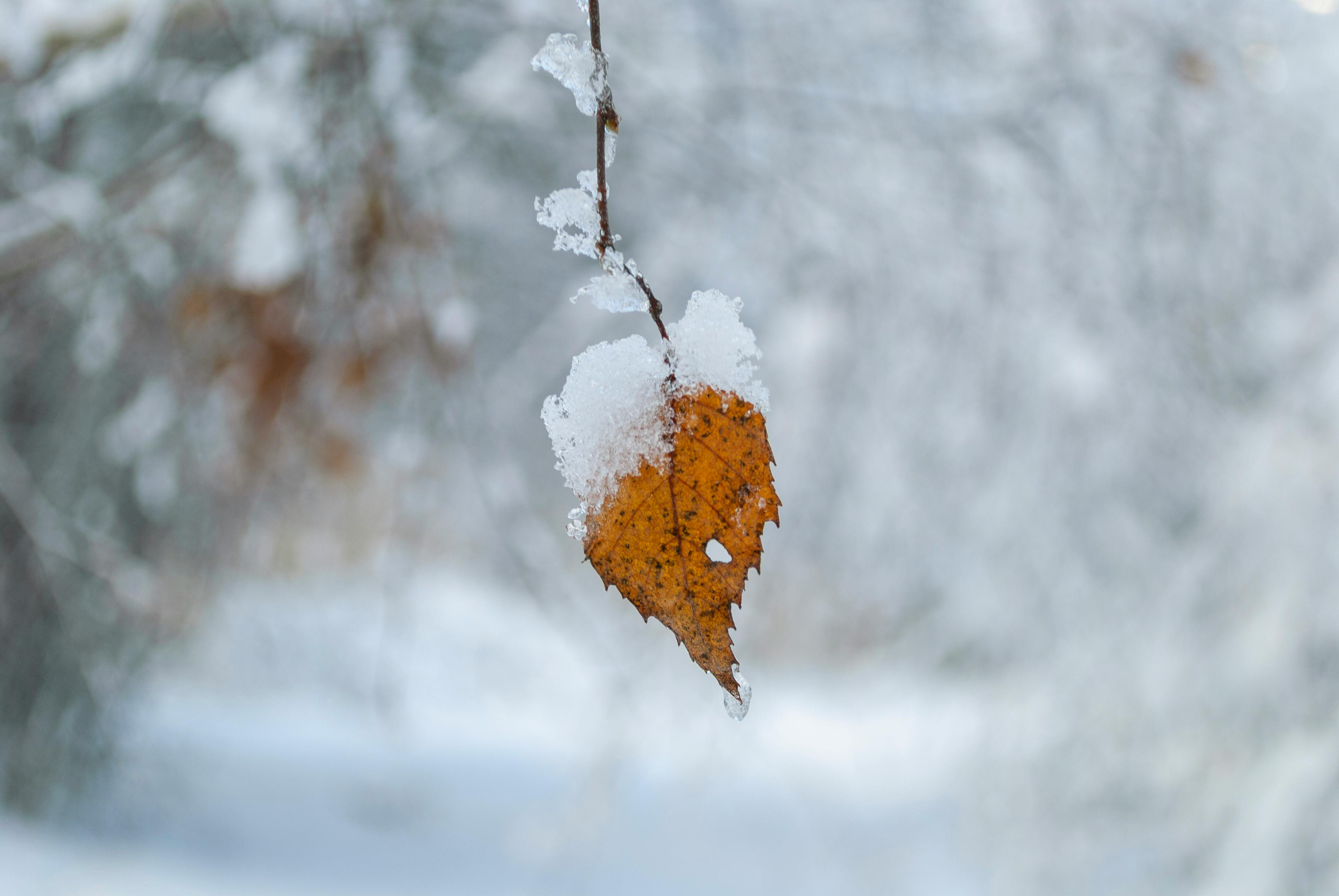 How To Live An Optimal Life