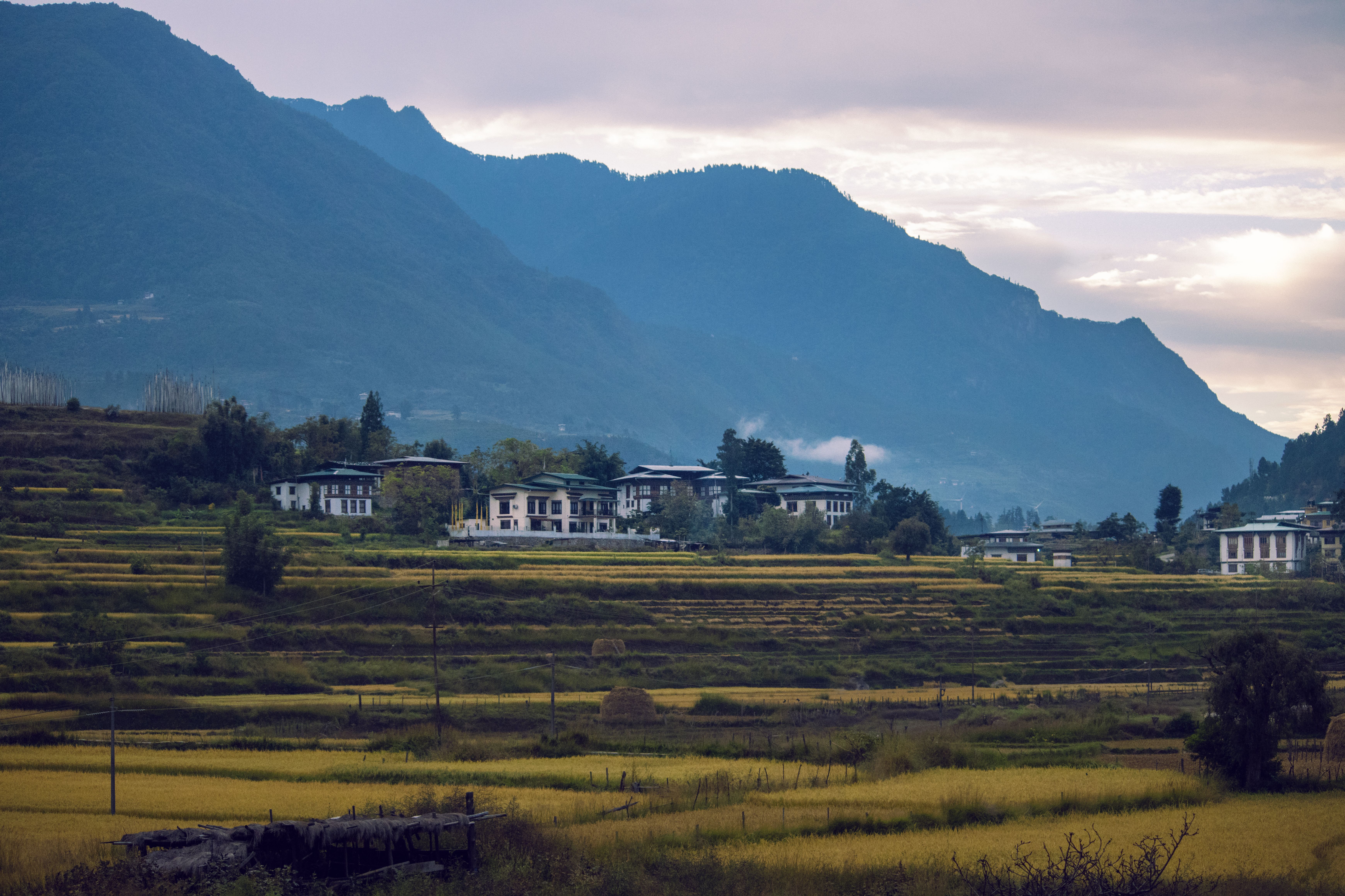 US Midterm Elections Unlikely to Directly Impact Bhutan's Economy