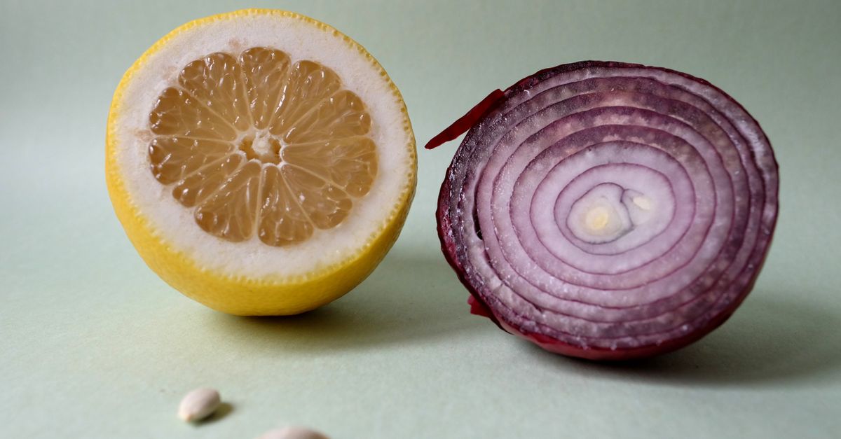 Artistic composition of sliced lemon and red onion on a pastel backdrop, highlighting their textures. - Evidence evidence guide for vitamin B6 sleep meta-analysis