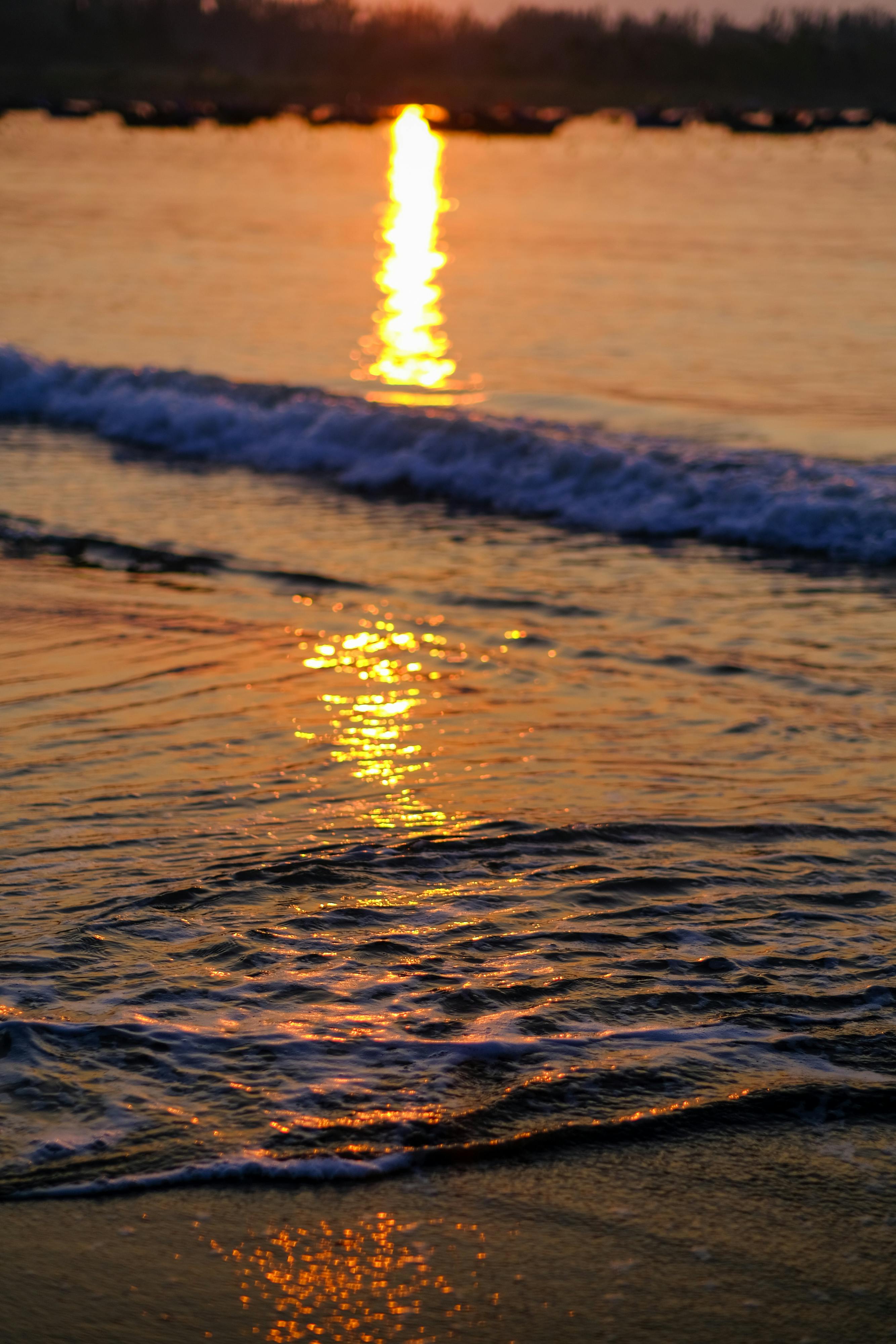 Trung tâm nghiên cứu văn học, phát triển nhà văn Việt Nam