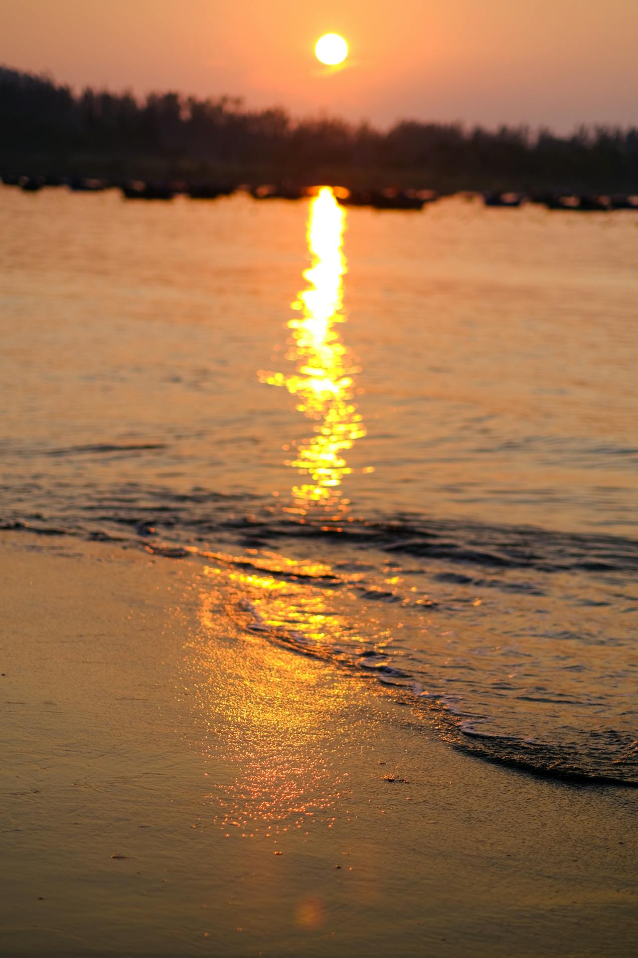 Gieo trồng hạnh phúc | Chương 09