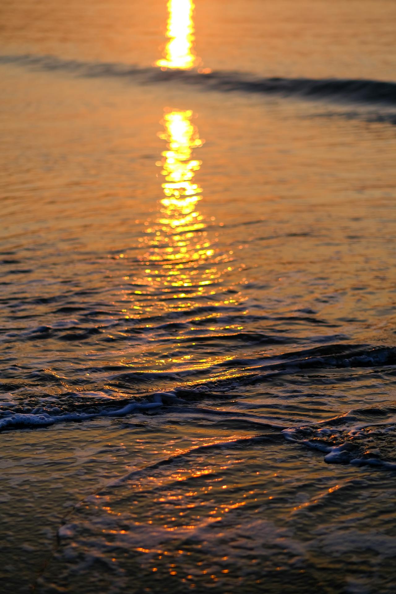 Biên niên ký chim vặn dây cót | Chương 53