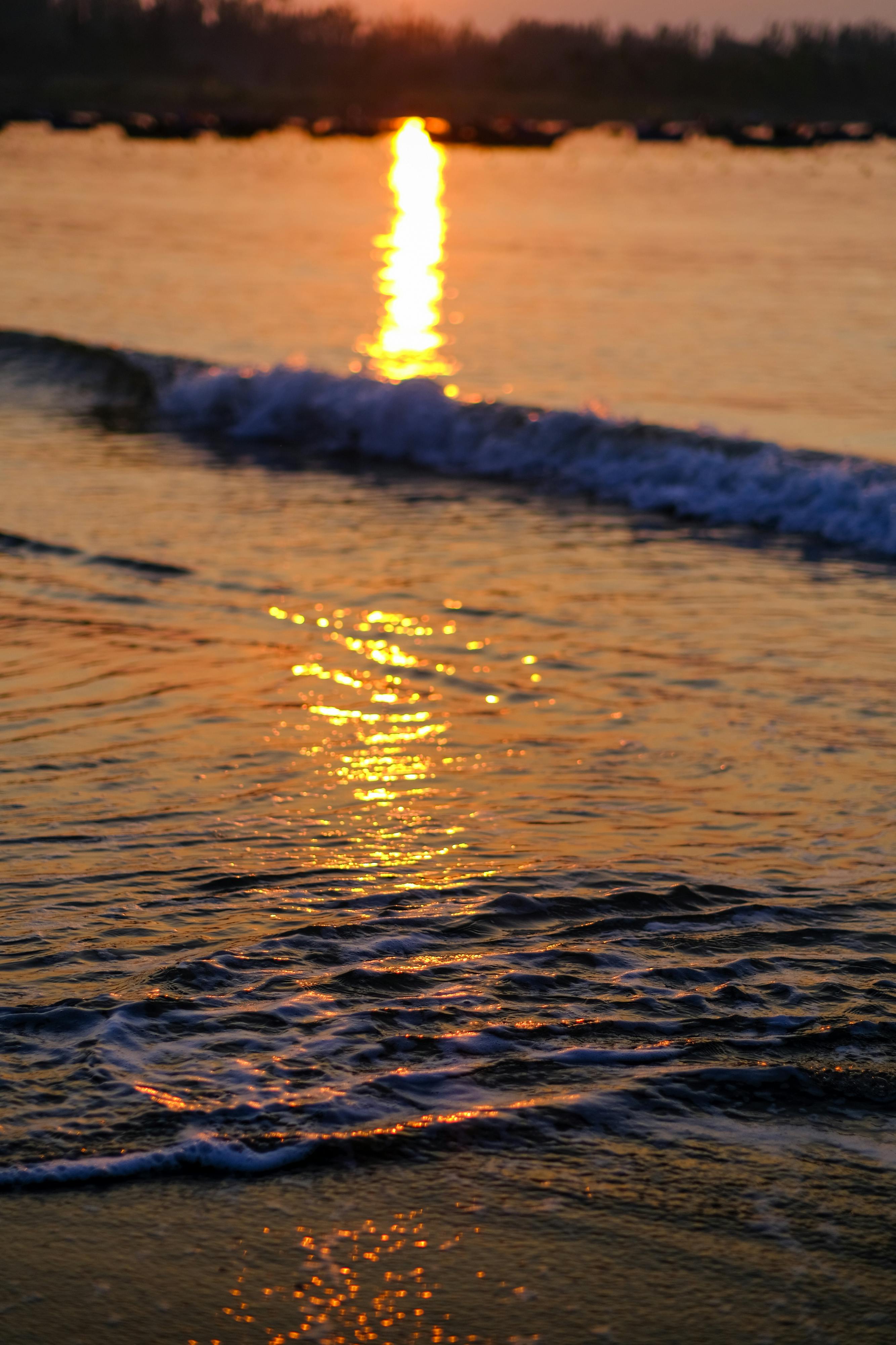 Trung tâm nghiên cứu văn học, phát triển nhà văn Việt Nam