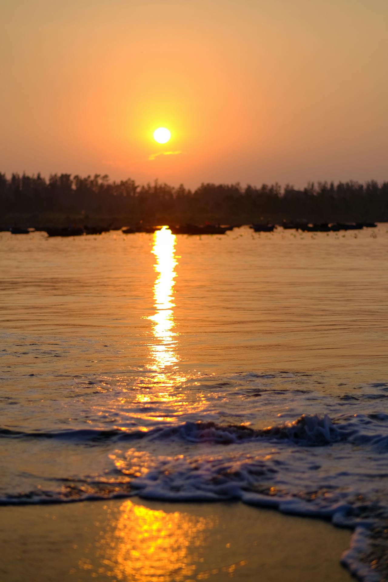 Thám tử lừng danh Conan | Chương 0994