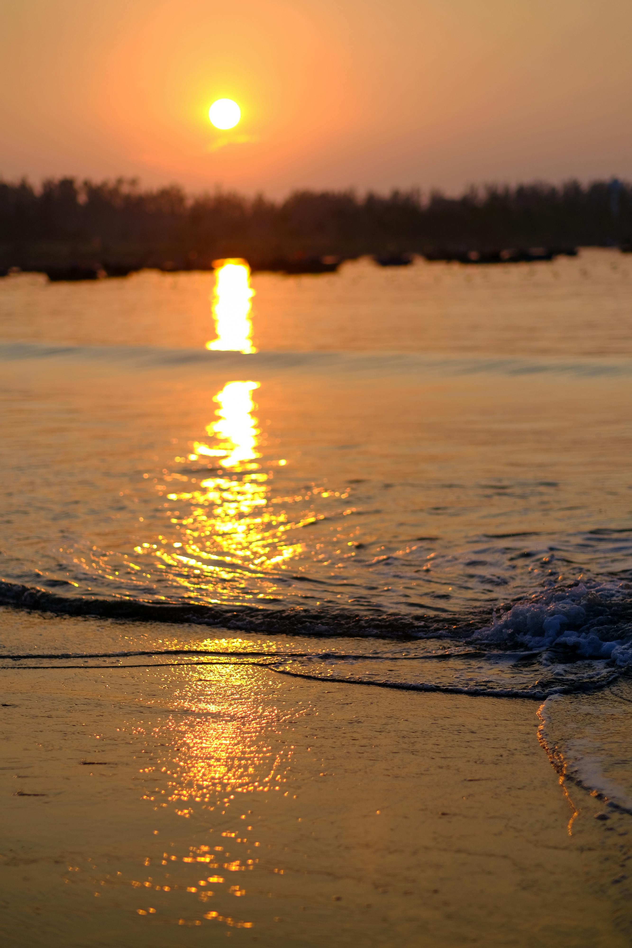 Trung tâm nghiên cứu văn học, phát triển nhà văn Việt Nam