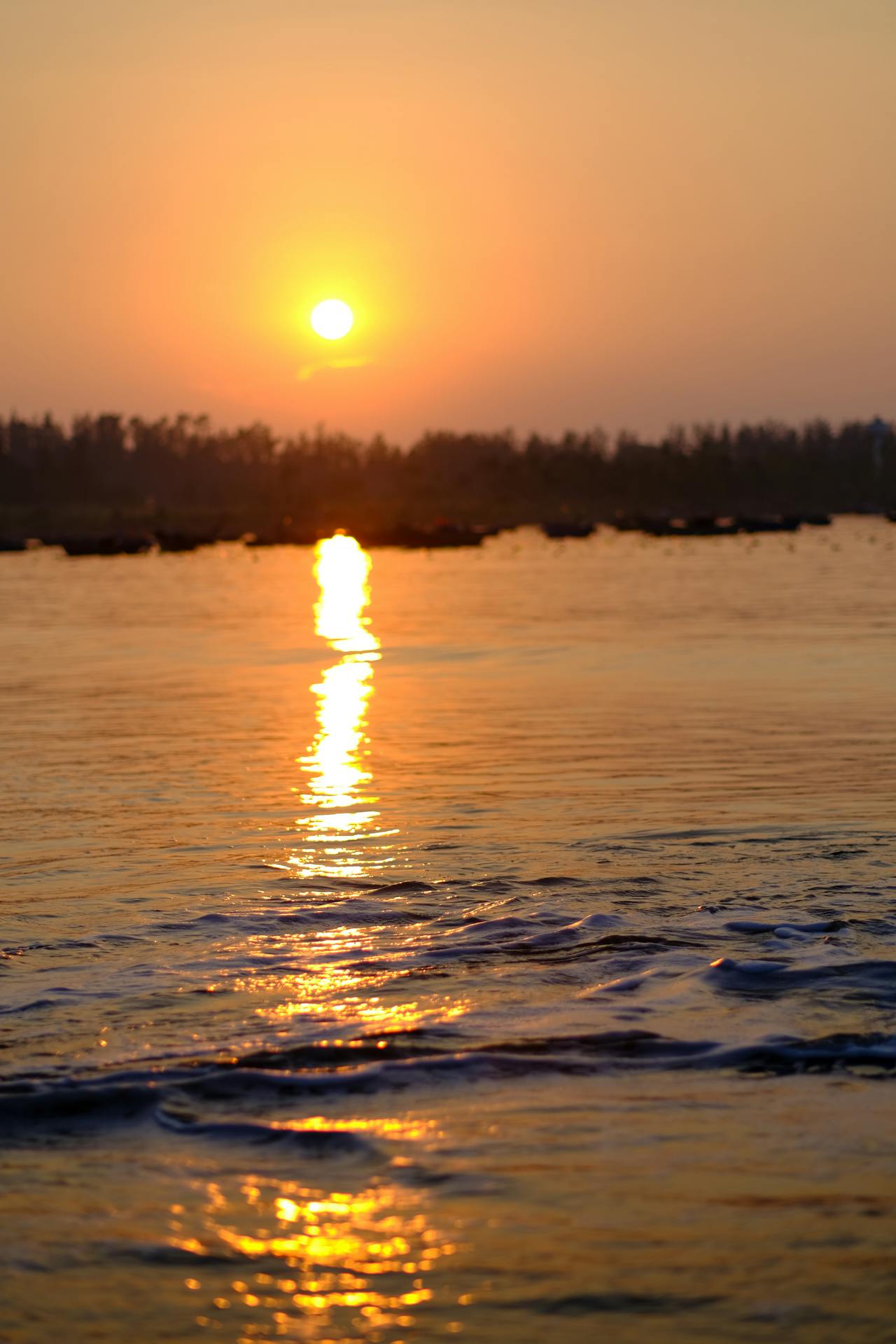 Chương trình hành động của ban chấp hành Trung ương Đảng thực hiện Nghị quyết Đại hội đại biểu toàn quốc lần thứ XIV của Đảng