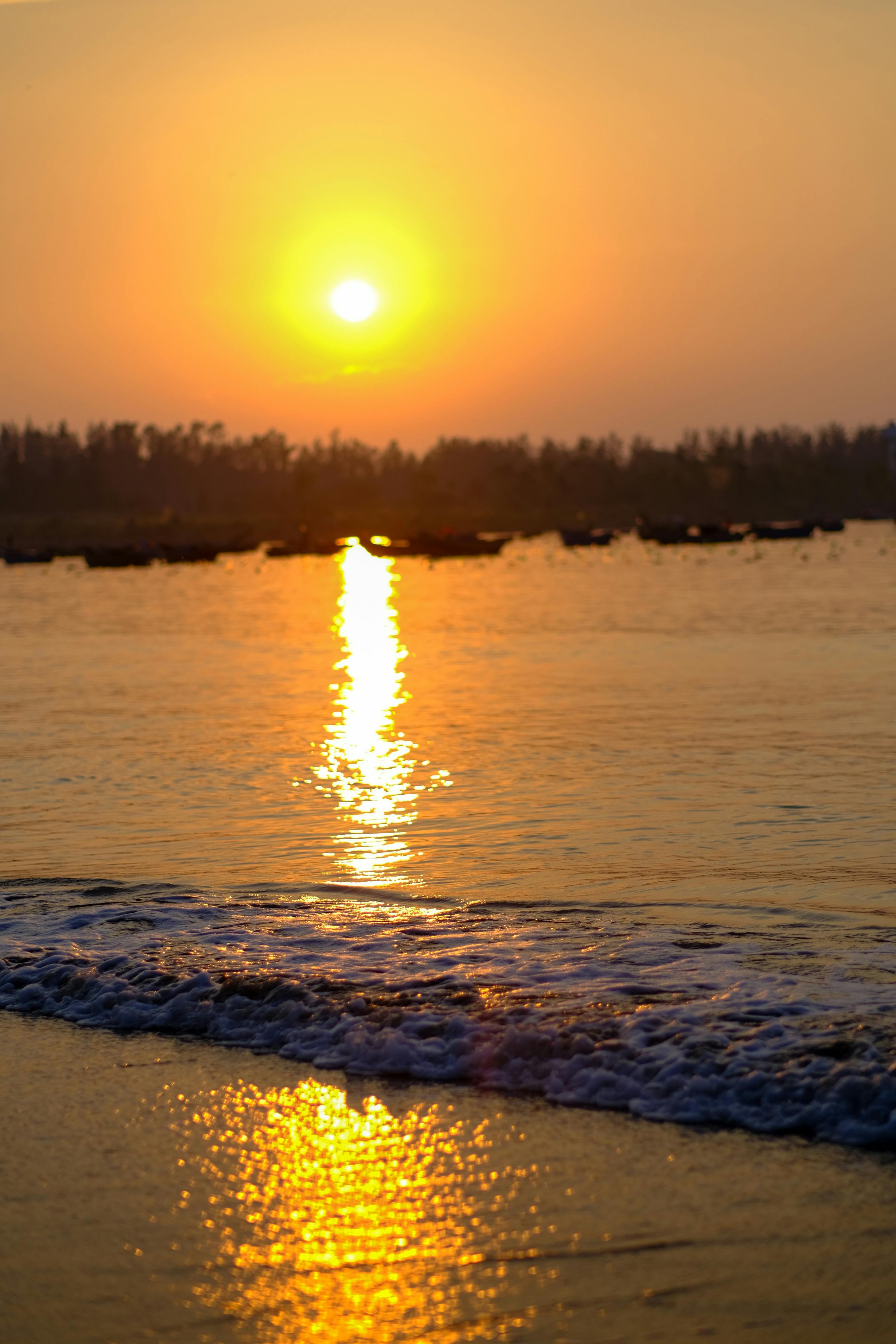 Trung tâm nghiên cứu văn học, phát triển nhà văn Việt Nam