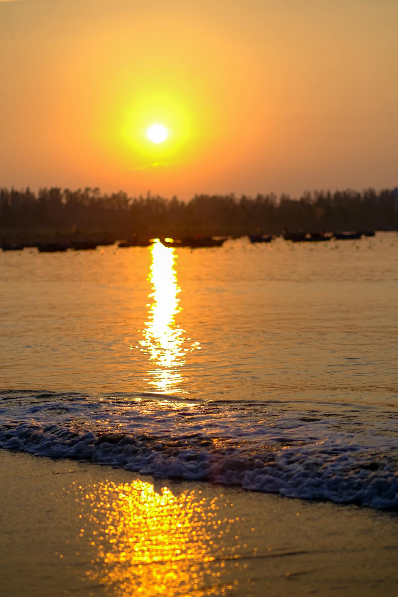 Bác sĩ Scotland kê đơn thiên nhiên cho bệnh nhân