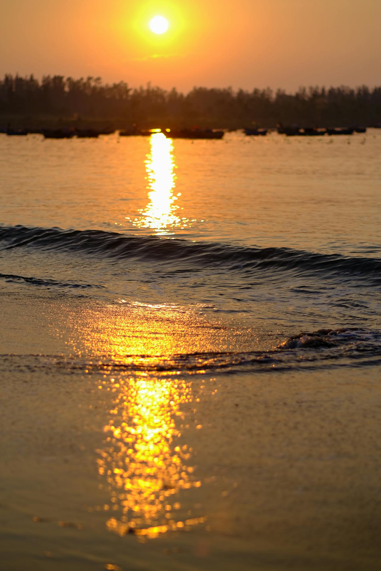 Thám tử lừng danh Conan | Chương 0599